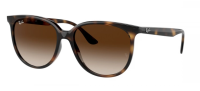 Ray-Ban Sonnenbrille RB4378